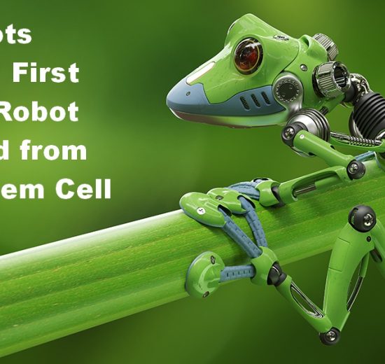 Xenobots