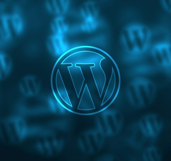wordpress website