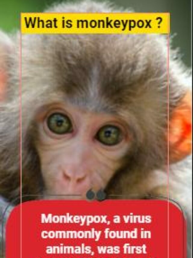 What is monkeypox virus, whose cases are being found in other European countries including America?