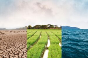 Strategies to Combat Climate Change