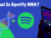 What is Spotify DNA?